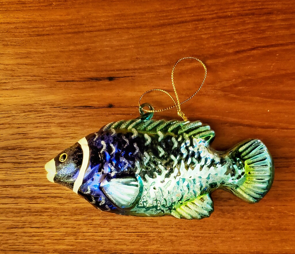 Fish Ornament by houser934