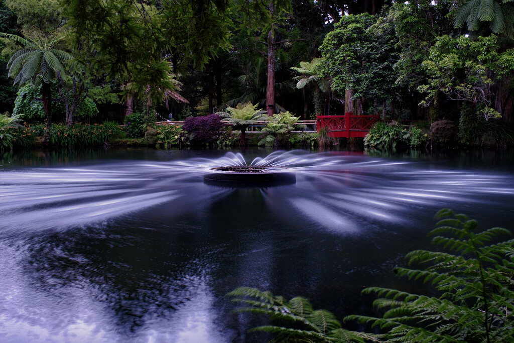 Pukekura Park Fountain by dkbarnett