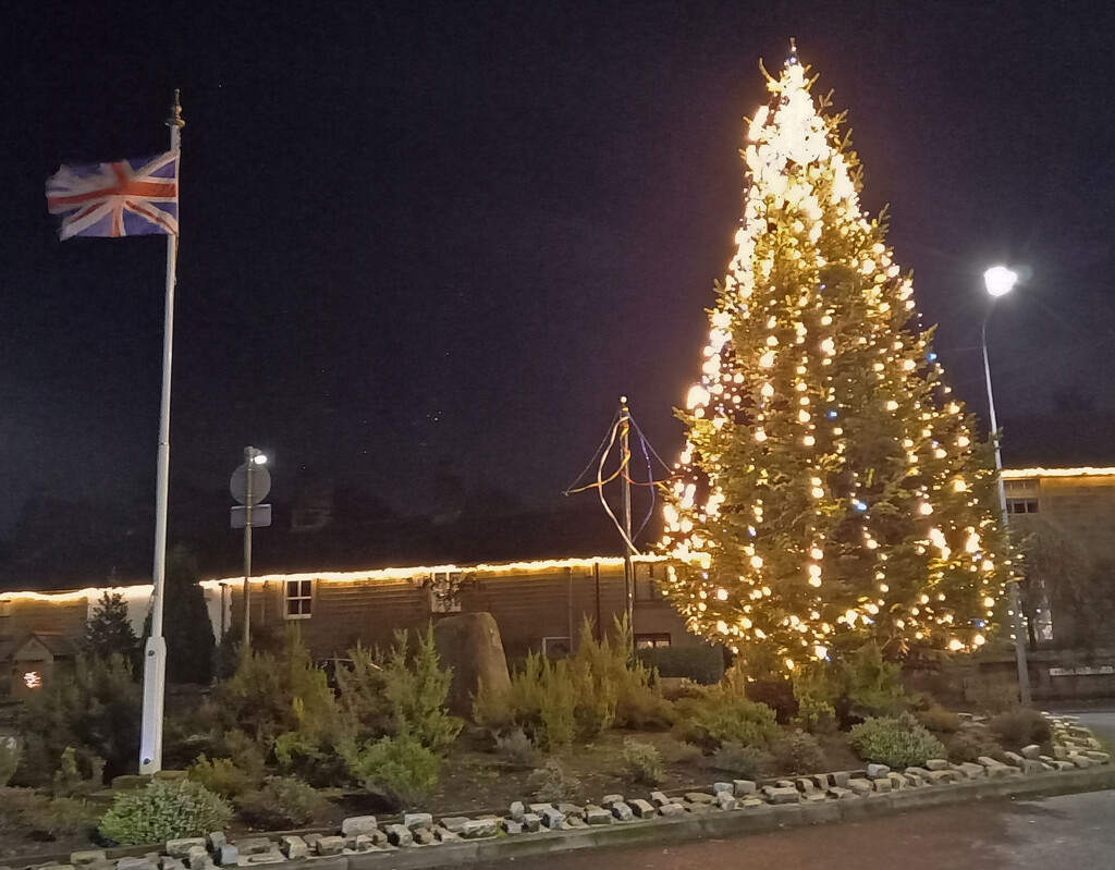 The village Christmas tree on Waterhouse Green by marianj
