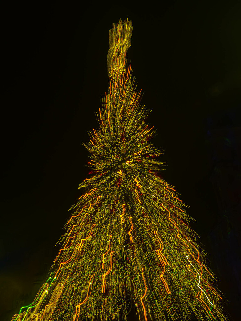 Christmas tree by haskar