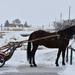Amish Horse And Buggy by bjywamer