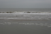 20th Dec 2022 - In the surf.