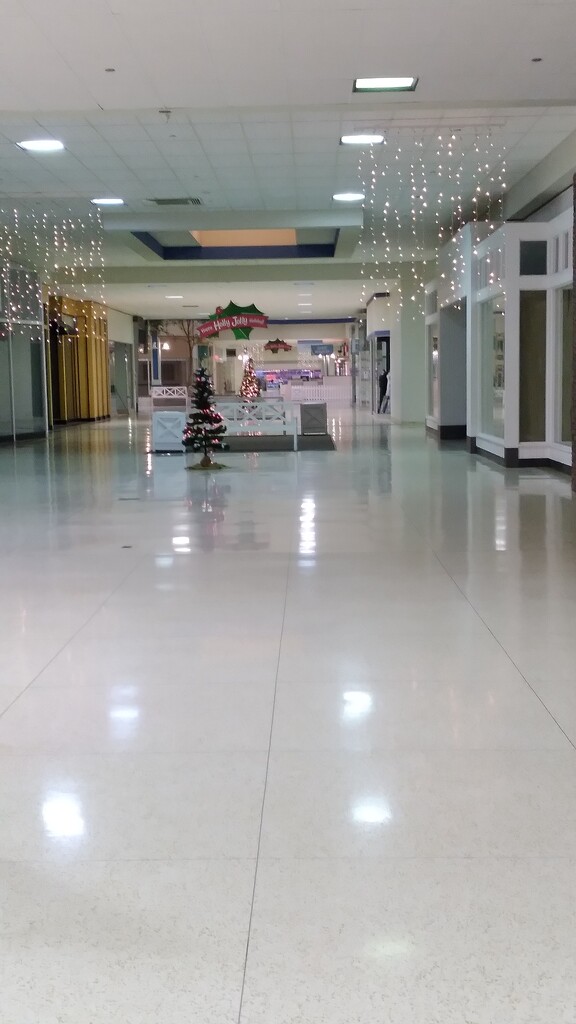Empty Mall! by julie