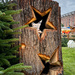 Tree Stars by kwind