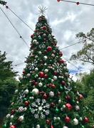 23rd Dec 2022 - Christmas 7/ Tree