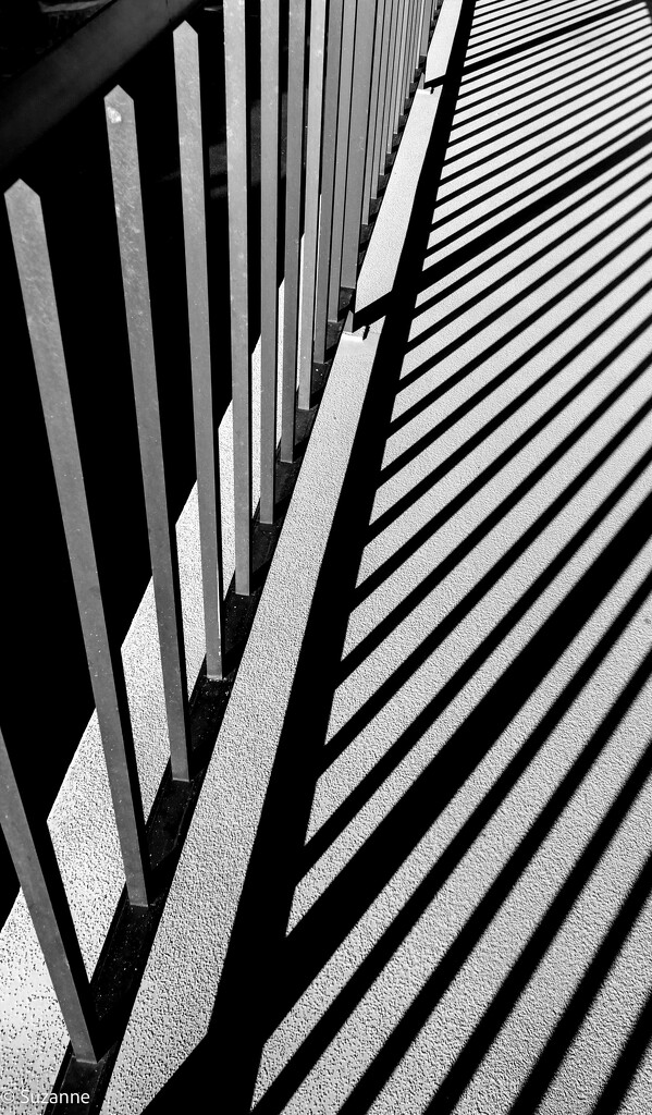 Lines by ankers70