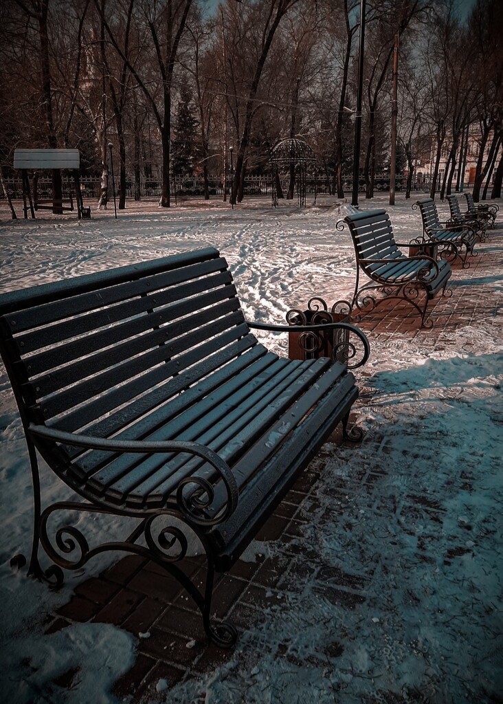 Benches in the park. by maria03051