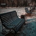 Benches in the park. by maria03051