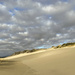 Light on the Dunes  by jgpittenger