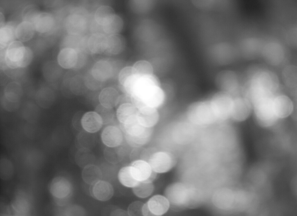 Bokeh for a background... by marlboromaam