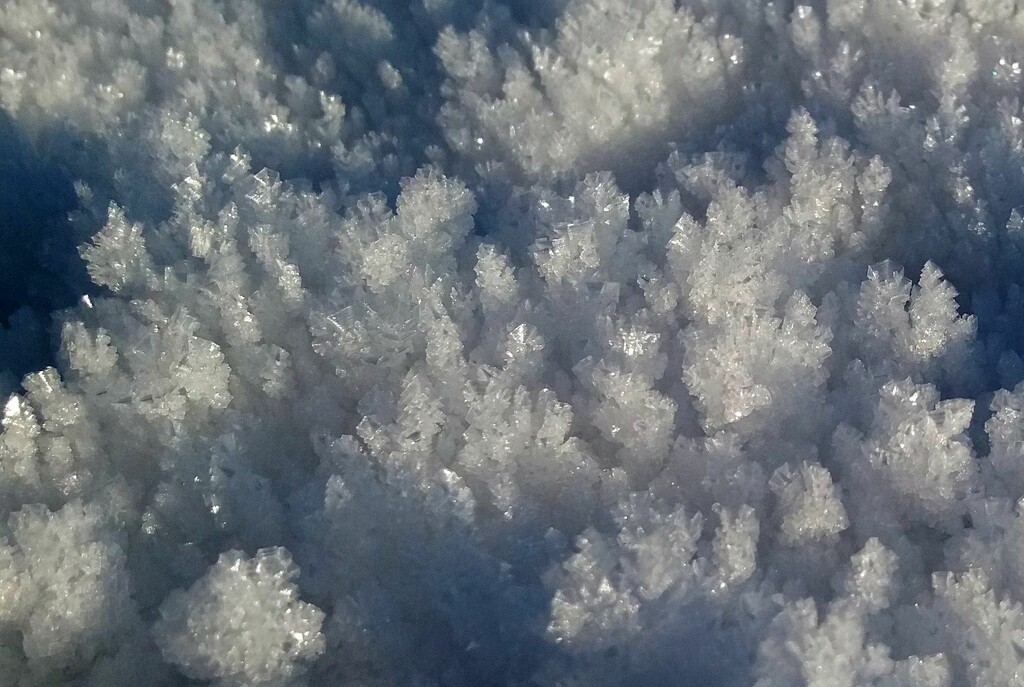 The snowy crystals on the lawn by anitaw