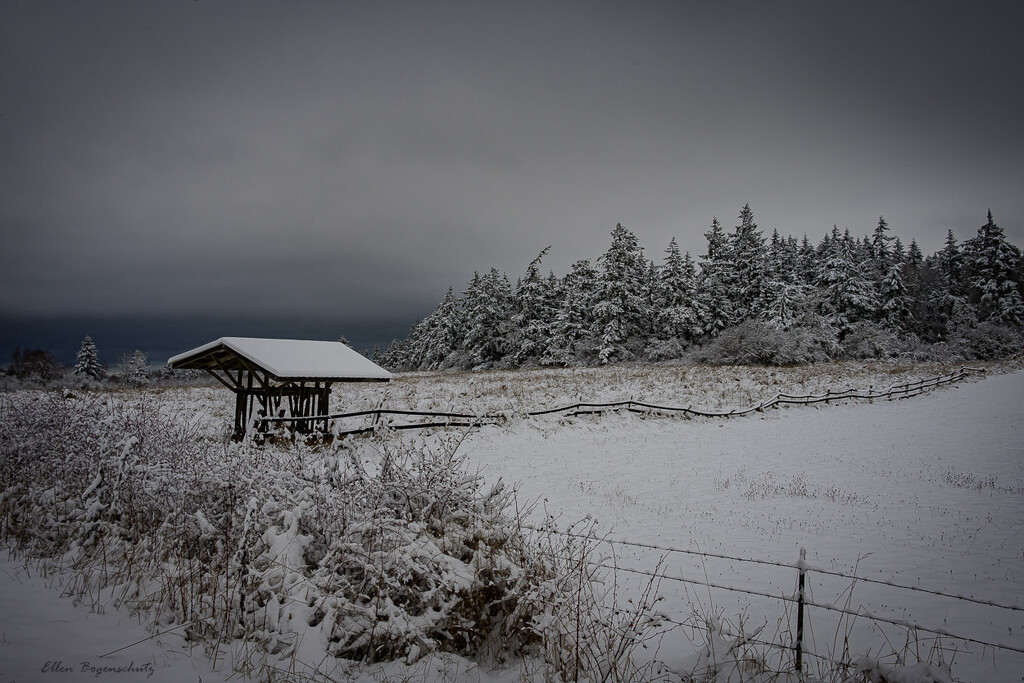 Manger and winter field by theredcamera