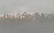 22nd Dec 2022 - Foggy sunset