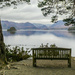 A Bench with a View by cmp