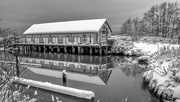 22nd Dec 2022 - Scotch Pond in Winter