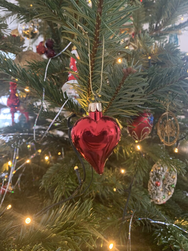 Red heart in my Christmas tree.  by cocobella