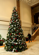 22nd Dec 2022 - oh, Christmas tree!