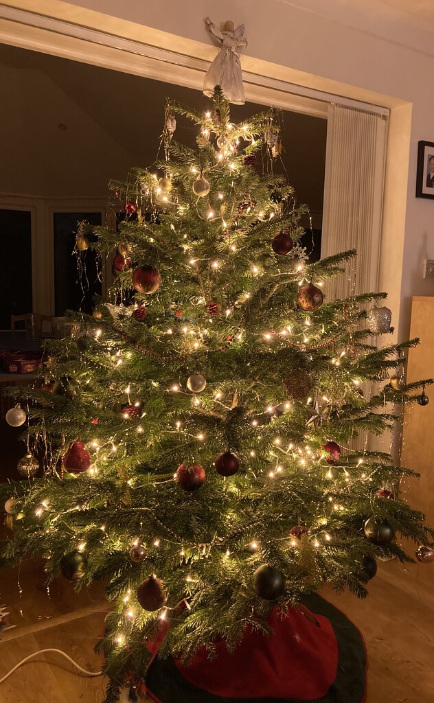 Tree is Up! by elainepenney