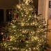 Tree is Up! by elainepenney