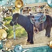 A Pony For Christmas by gardenfolk
