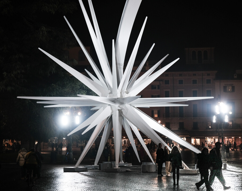 The star in Piazza Bra by caterina