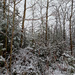 Winter Wonderland by revken70