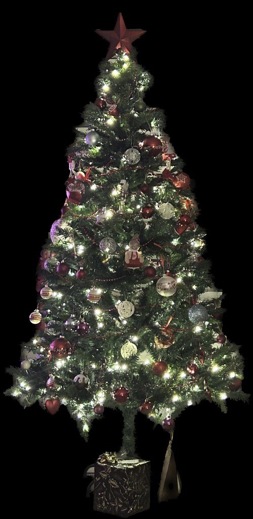 Christmas Tree by carole_sandford
