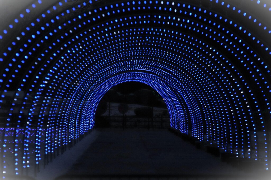 Lighted Tunnel  by randy23