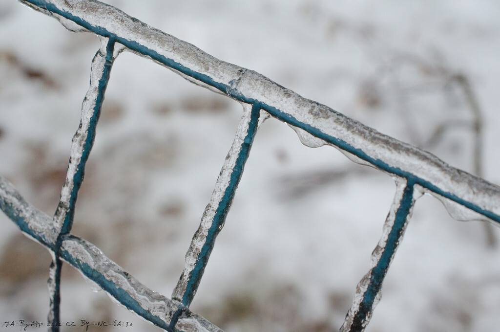 Iced Fence - Silver Thaw by byrdlip
