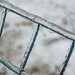 Iced Fence - Silver Thaw by byrdlip
