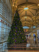 23rd Dec 2022 - 356-365 airport Christmas