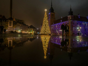 23rd Dec 2022 - Christmas tree in Warsaw