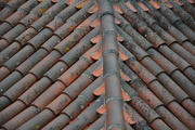 10th Dec 2022 - Roof series 3 of 4 