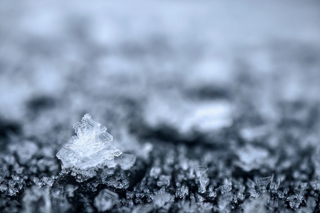 Ice crystal by okvalle