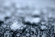 24th Dec 2022 - Ice crystal