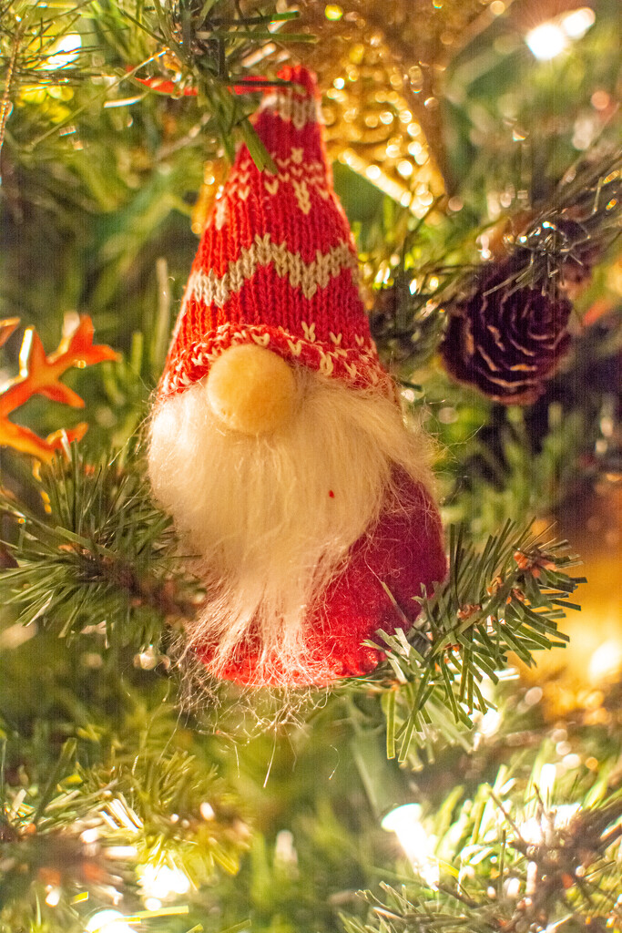 Christmas Gnome... by thewatersphotos