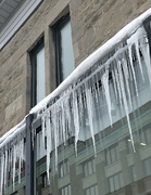 24th Dec 2022 - Montreal Freeze