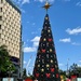 Brisbane Christmas tree by sugarmuser