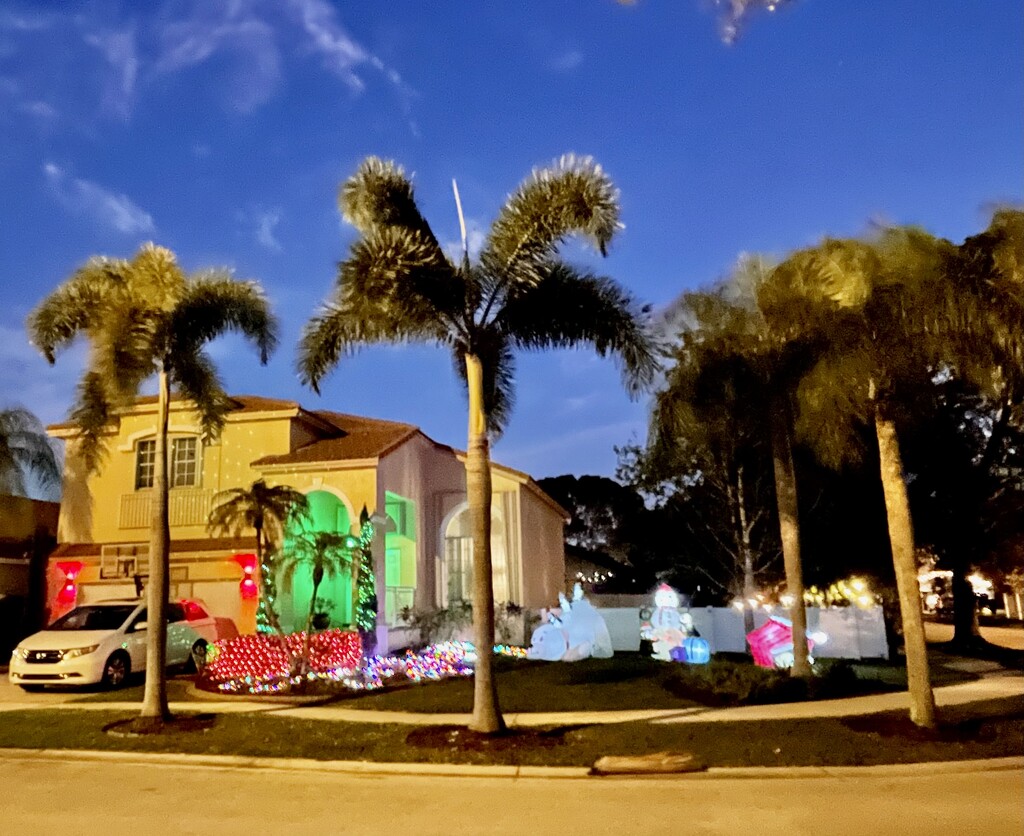 South Florida Celebrates Christmas  by kvphoto