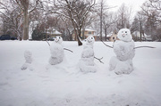 21st Dec 2022 - Happy snowmen
