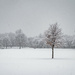 A white Christmas  by dawnbjohnson2