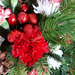 Christmas flowers by larrysphotos