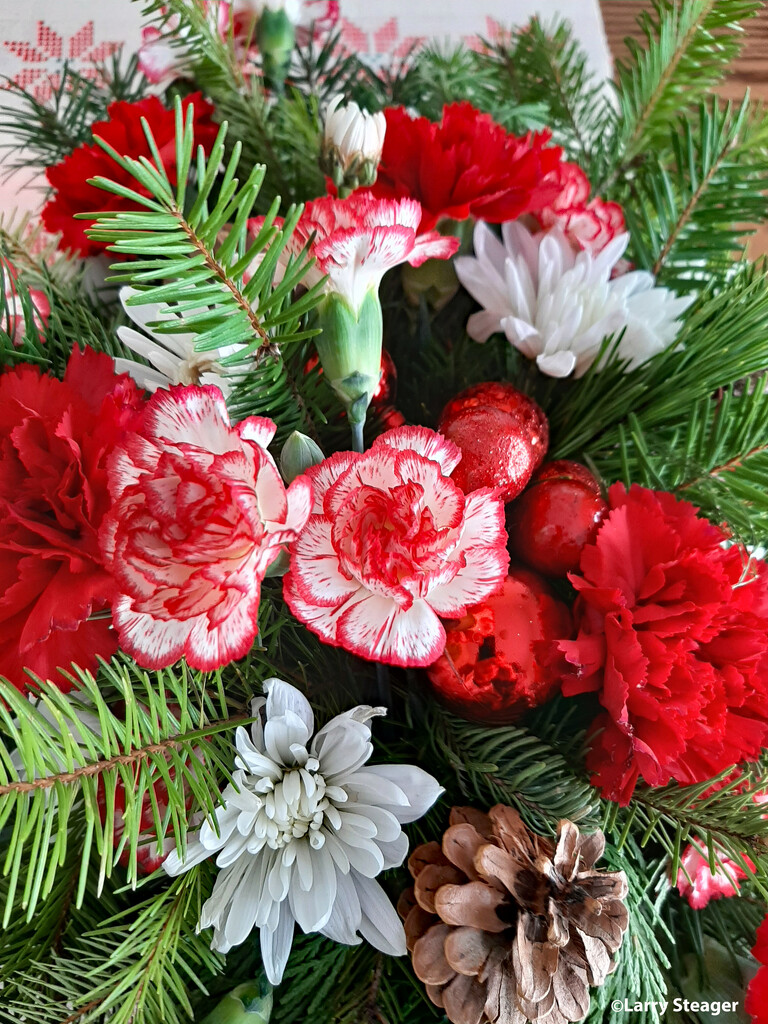 Christmas flowers 1 by larrysphotos