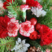 Christmas flowers 1 by larrysphotos