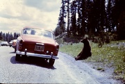 26th Dec 2022 - Yellowstone National Park, 1967