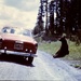 Yellowstone National Park, 1967 by jamibann