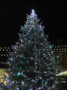 25th Dec 2022 - Christmas Tree