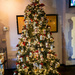 Beer Can Christmas Tree by swchappell
