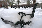 30th Jan 2011 - Bench in the Snow