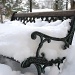 Bench in the Snow by sharonlc
